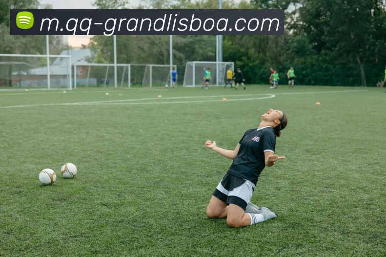 多媒体互动体验